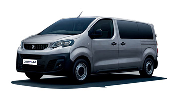 GRUPO G1